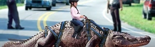 A little girl riding on top of a crocodile with a helmet.